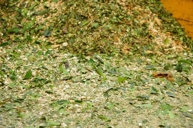 市政環(huán)保移動式樹枝粉碎機 街道社區(qū)枯枝落葉樹木枝丫粉碎機