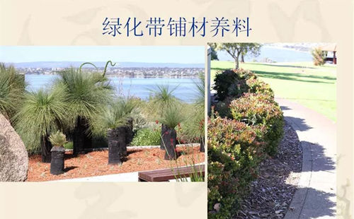 園林農(nóng)作物枝椏雜枝剁碎粉碎機(jī)