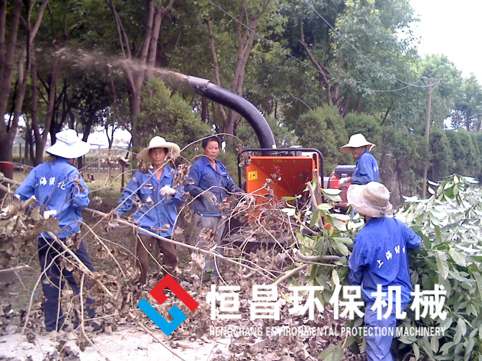 �Ƅ�(d��ng)ʽ��֦����C(j��)