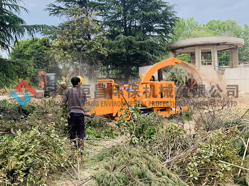咸陽(yáng)國(guó)際機(jī)場(chǎng)樹(shù)枝